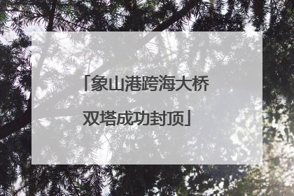 象山港跨海大桥双塔成功封顶